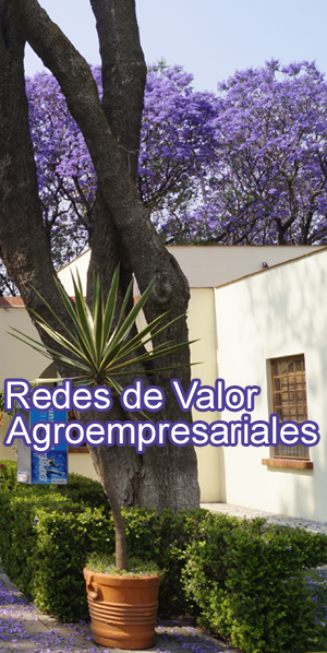 Redes de valor Agroempresariales
