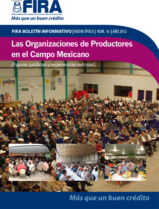 boletin-informativo