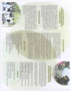 CONVOCATORIA A PARTICIPAR EN EL PROGRAMA UNIVERSITARIO DE VINCULACIÓN_Página_2